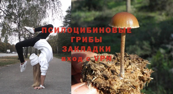 бутират Арсеньев