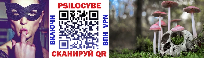 Галлюциногенные грибы ЛСД  Сельцо 
